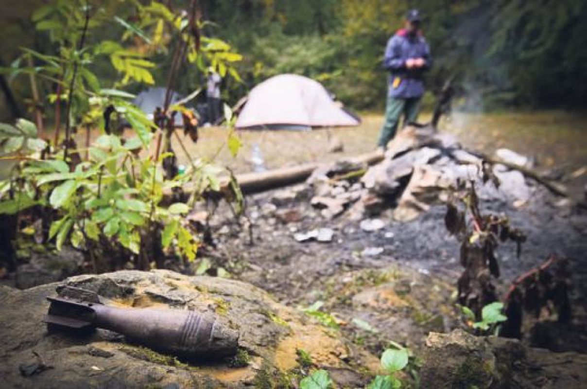 Отдых в лесном массиве оказался опасным и травматичным