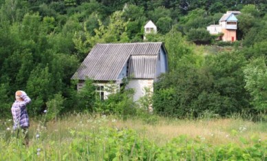 Ленивых дачников лишат участков