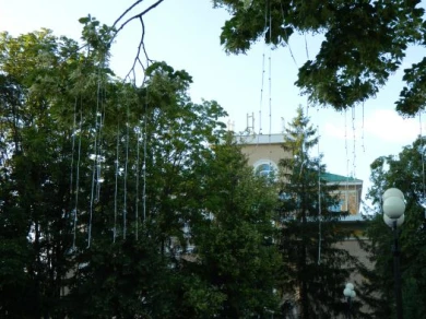 В Белгороде появилось “звенящее дерево”