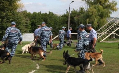 С начала года белгородские служебные собаки раскрыли 390 преступлений