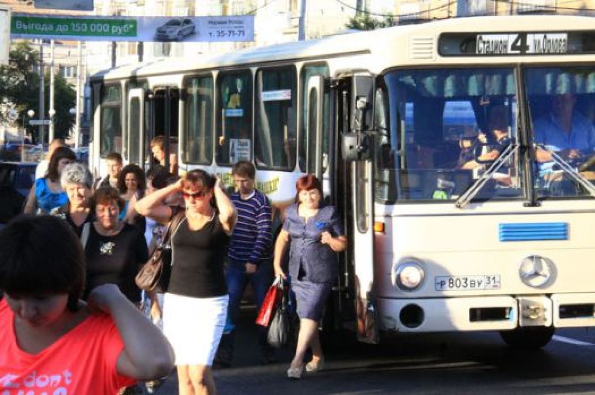 Оказалось, что большие автобусы ненамного комфортнее ПАЗов, если  ходят они  раз в час