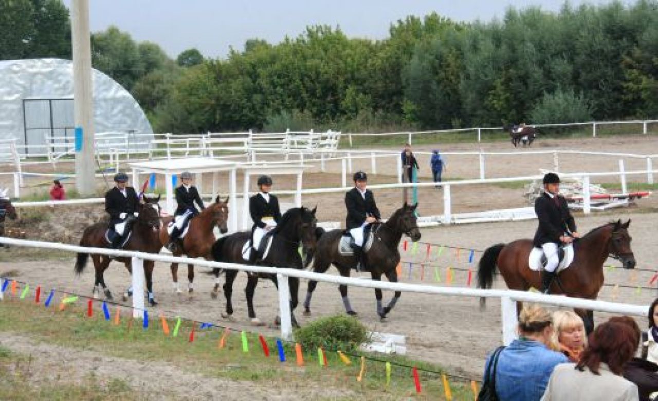 В Белгороде открылись соревнования по конному спорту