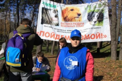 В центральном парке Белгорода раздавали дворняг в добрые руки
