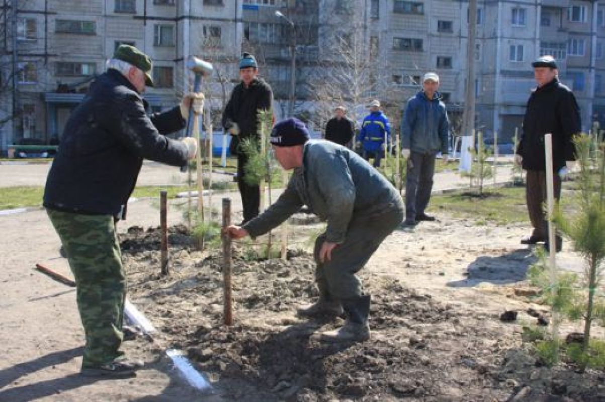По уровню благоустройства Белгород оставил всех своих соседей далеко позади, вот только жить среди этих парков и клумб большинству белгородцев просто не по карману