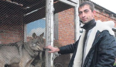 «Своего волка я выгуливаю на поводке»