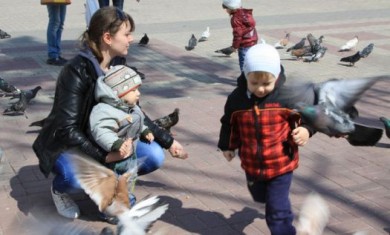 За кормление голубей — штраф
