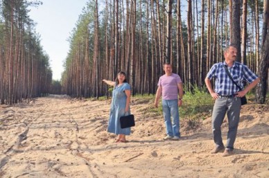 «Не отдадим наш лес под местную Рублёвку»