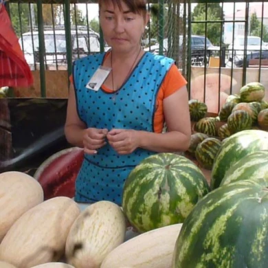 В Белгород чума свиней может попасть с арбузами