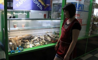 За ценами на продукты будет следить белгородское УФАС