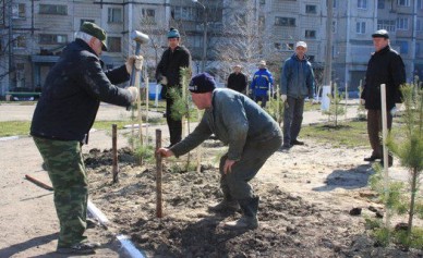 Белгородцы довольны благоустройством территорий и недовольны услугами в сфере ЖК...