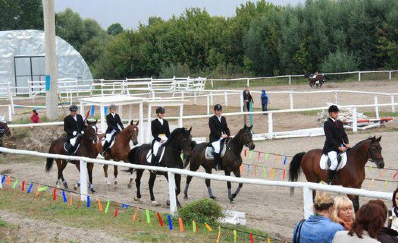 Белгородцы не смогут кататься на лошадях в центре города