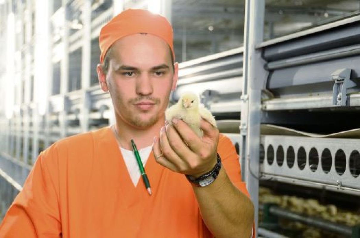 В первую очередь спасать будут сельское хозяйство