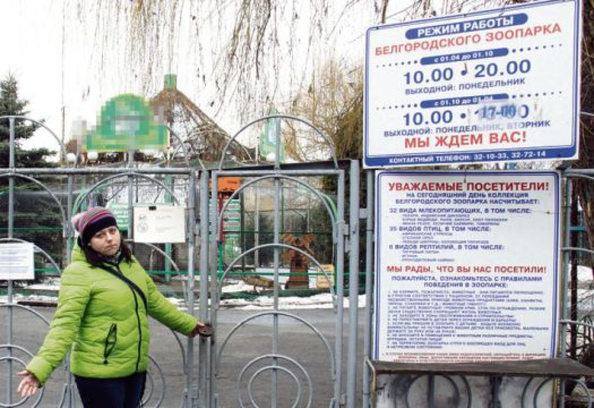 Наш корреспондент решил попробовать пробраться в зоопарк без билета, и это не составило для него труда