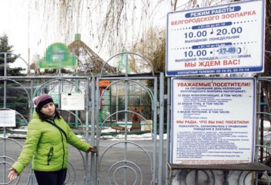 Белгородец погиб от лап львицы