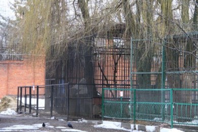 Прокуратура Белгорода проверит клетки в зоопарке на соответствие требованиям без...