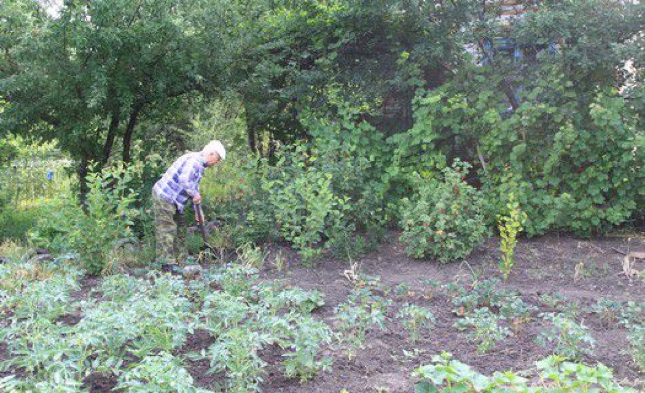 Белгородцам дадут землю под инвестпроекты по упрощённой схеме