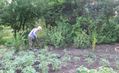 Белгородцам дадут землю под инвестпроекты по упрощённой схеме