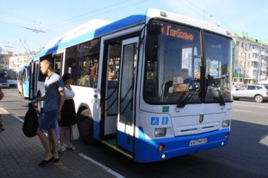В Белгородской области к 70-летию Победы ветеранам обеспечат бесплатный проезд
