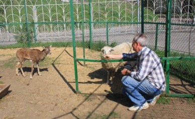 Ликвидацию Белгородского зоопарка отложили