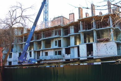 Центральный парк вырубают под стройку