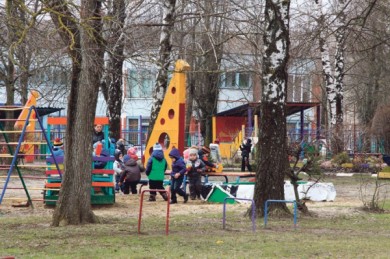 В детском саду расстреляли собак