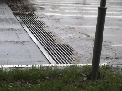 Белгородцев затапливает после дождя