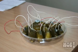 Фото пресс-центра областного департамента образования