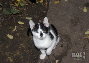 Телефон 8-920-209-55-77 (Снежана)