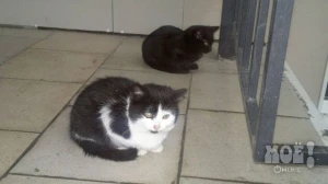 Телефон  8-908-780-70-62 (Аня)