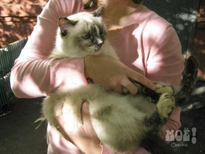 Телефон 8-920-582-76-28, 55-80-99 (Ирина)