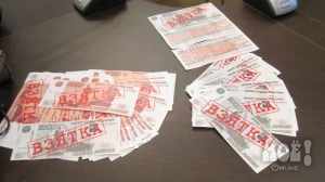 Фото Татьяны Григорьевой