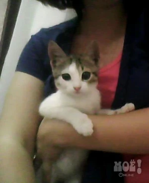 Телефон куратора 8-920-599-69-55
(Екатерина)