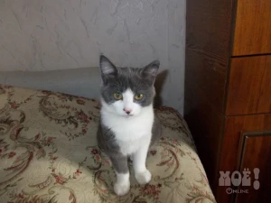 Телефон куратора 8-906-600-09-14 (Любовь).