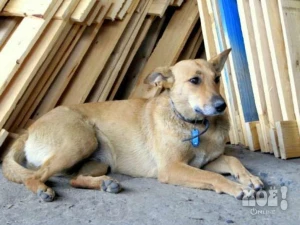 8-910-361 02 07 (Оксана)