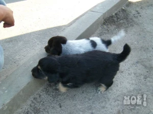 Телефон 8-908-785-94-61 (Анна)