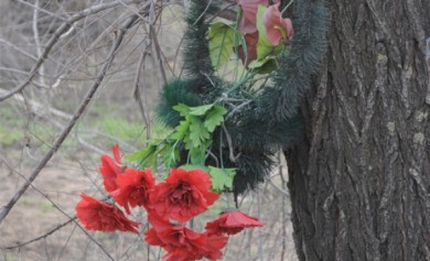 Три человека погибли в автокатастрофе на дороге Белгород — Павловск