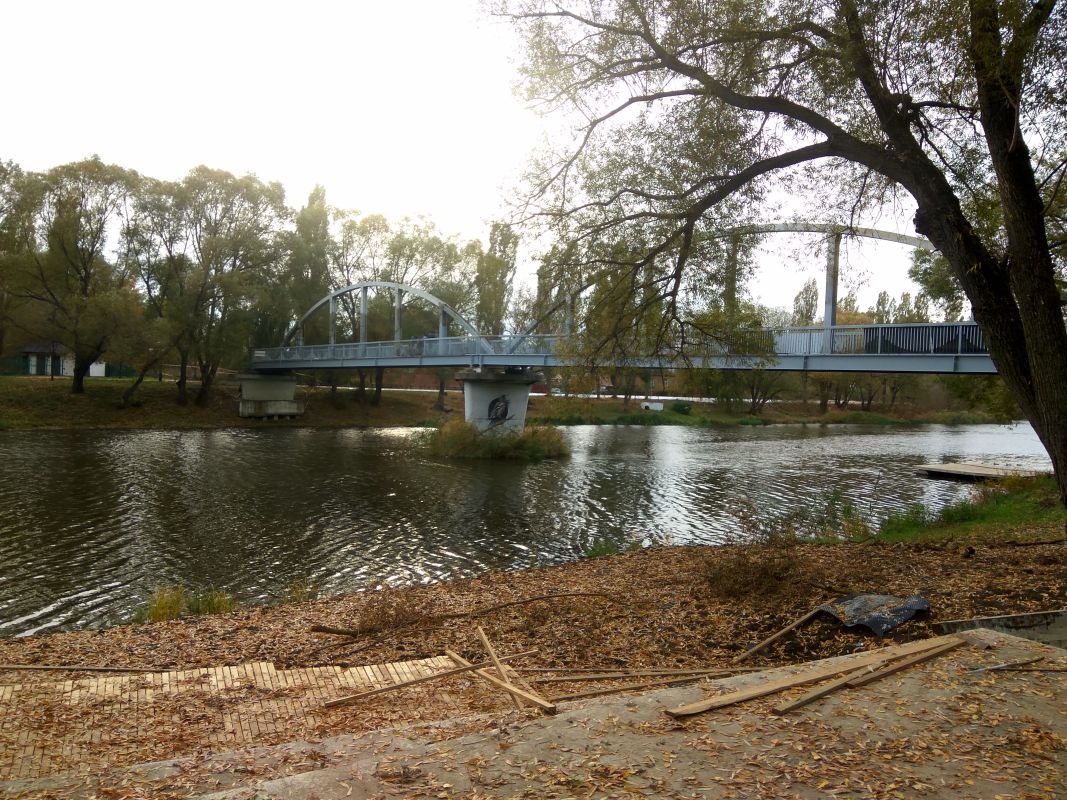 Белгородские депутаты решили вступиться за Центральный парк
