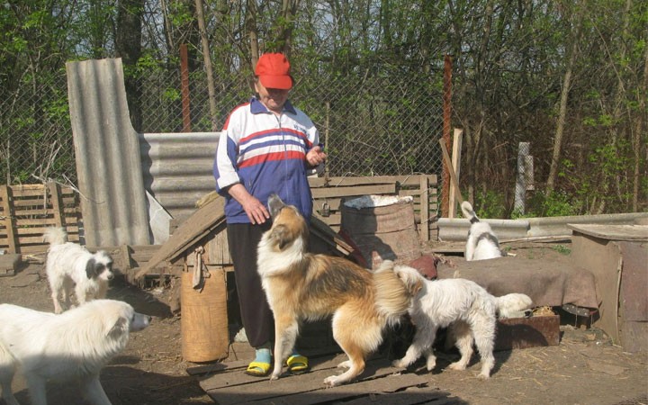 Добрый дом приют для животных белгород. Собачий приют в Белгороде. Белгородский приют для собак щенки.