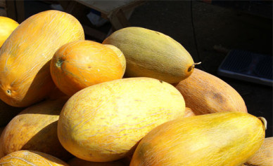 Роспотребнадзор рассказал, как правильно выбрать дыню