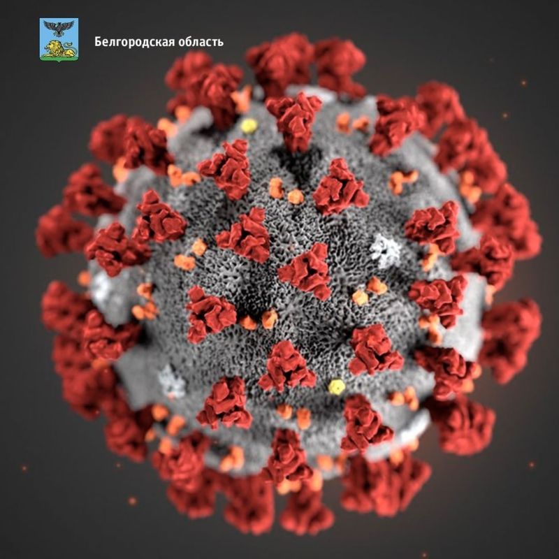 Федеральный штаб заявил о 22 новых заболевших COVID-19 в Белгородской области
