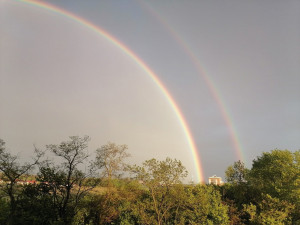 Пользователи соцсетей поделились снимками двойной радуги над Белгородом