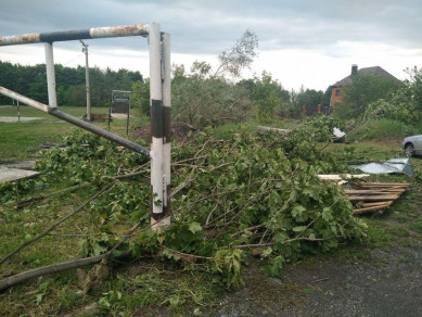 В Белгороде последствия урагана устраняют под контролем мэра