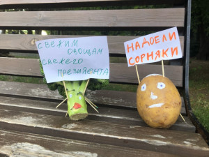В Белгороде прошел «митинг» овощей против поправок в Конституцию
