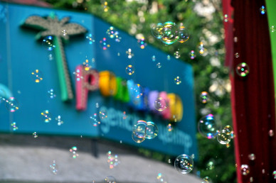 В центральном парке Белгорода закрыли детский центр «Тропикано»